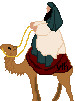 wiseman